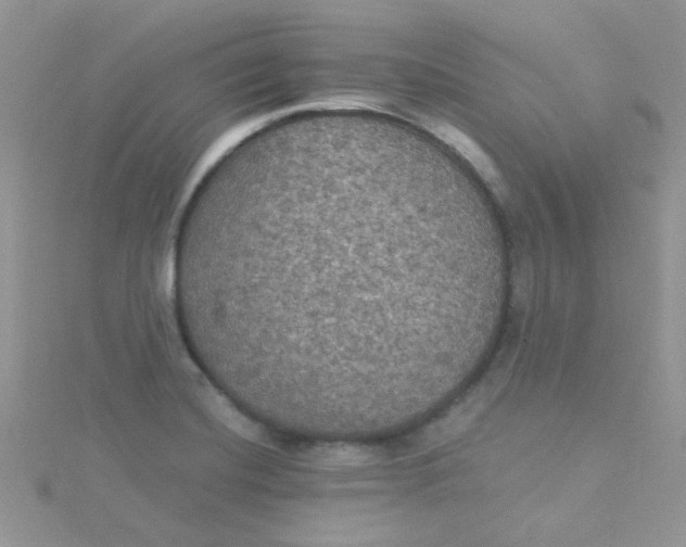 X0000115321420200911231341