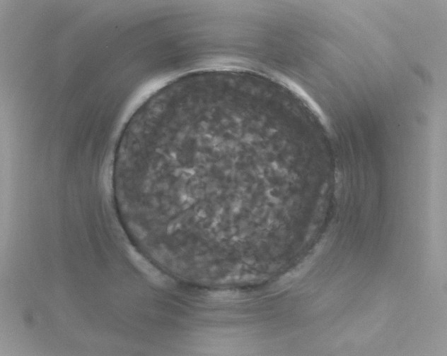 X0000115321421200911231341