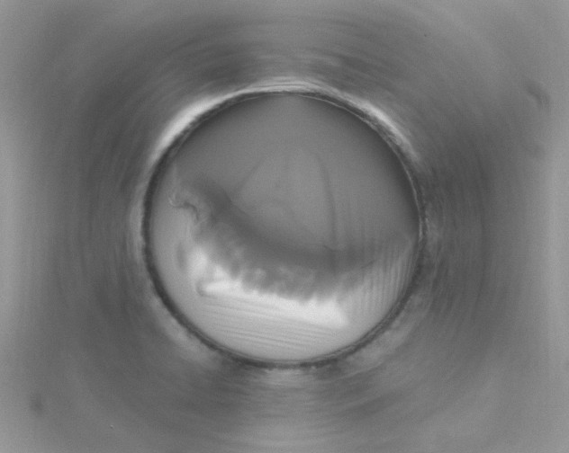 X0000115321422200911231341