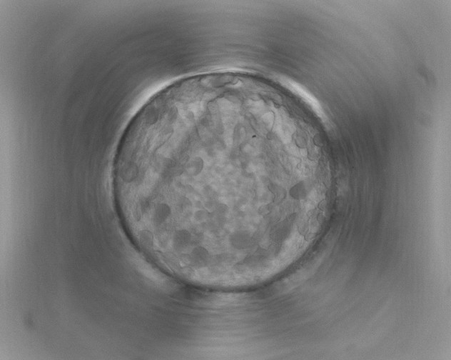 X0000115321423200911231341