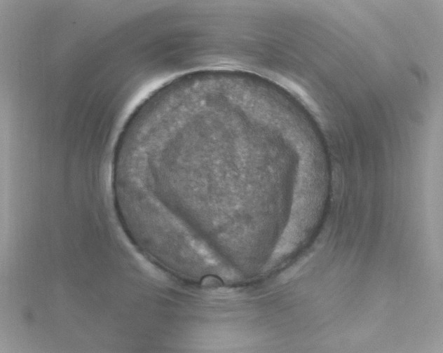 X0000115321424200911231341