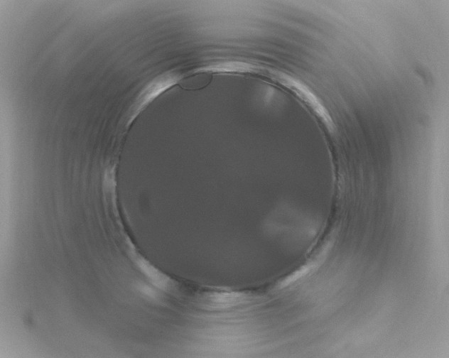 X0000115321425200911231341