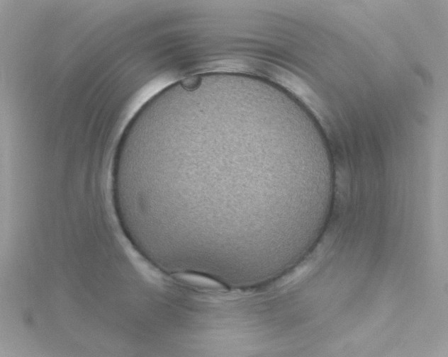 X0000115321426200911231341