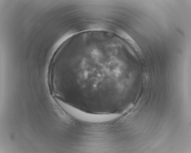 X0000115321427200911231341