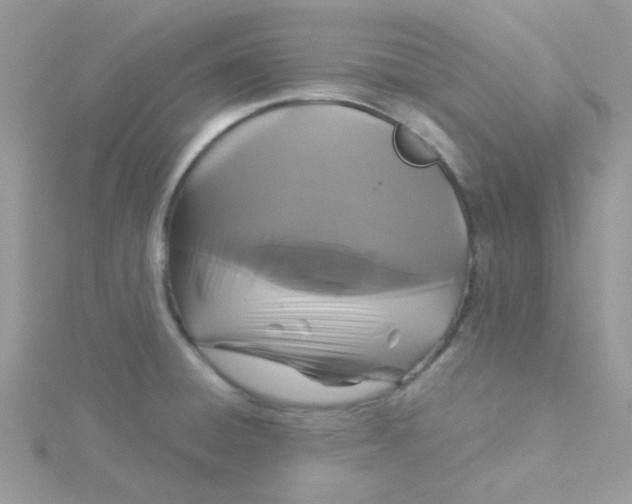 X0000115321428200911231341