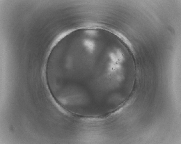 X0000115321429200911231341