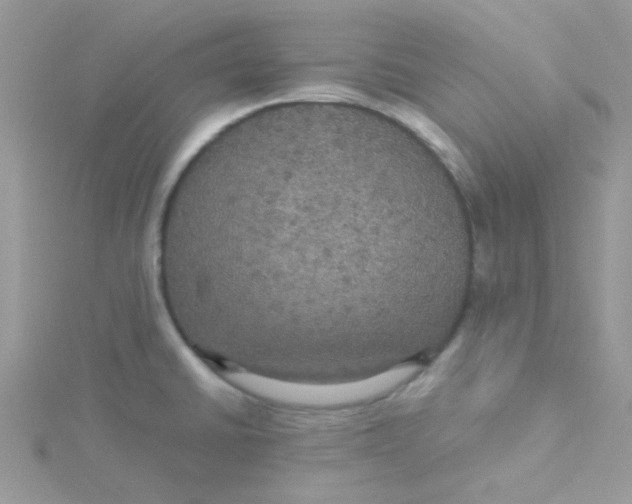 X0000115321430200911231341