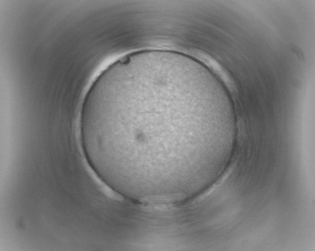 X0000115321432200911231341