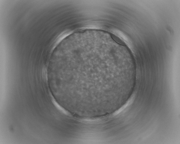 X0000115321433200911231341