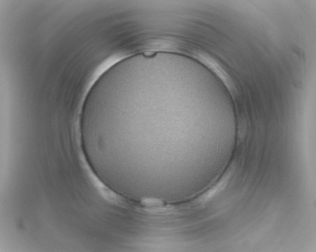 X0000115321434200911231341