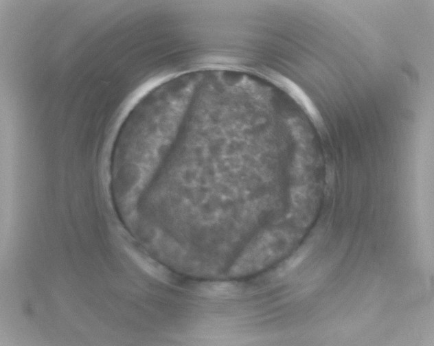 X0000115321435200911231341