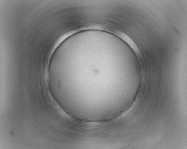 X0000115321436200911231341