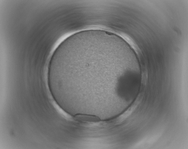 X0000115321438200911231341