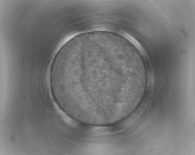 X0000115321439200911231341