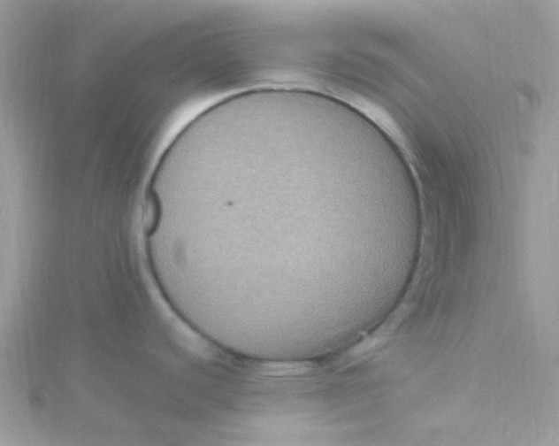 X0000115321440200911231341