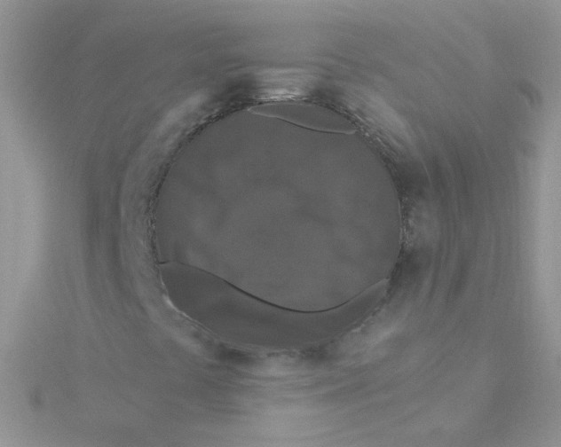 X0000115321441200911231341