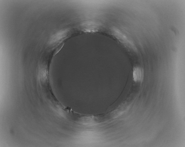 X0000115321444200911231341