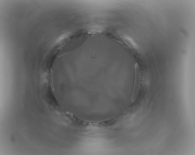 X0000115321445200911231341