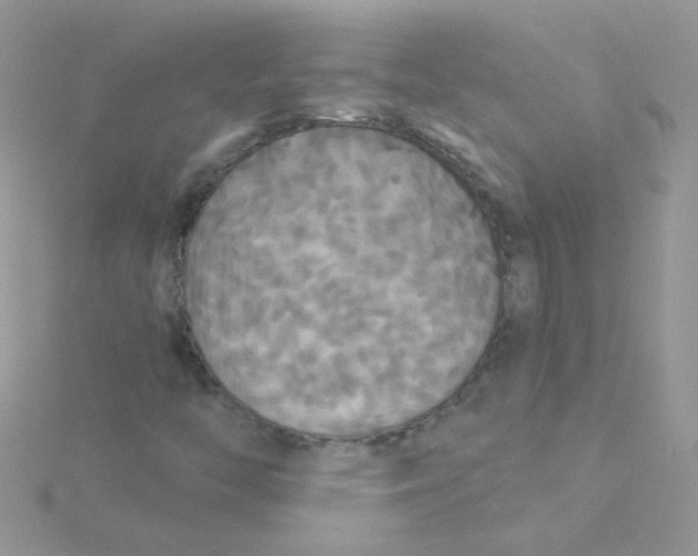 X0000115321446200911231341