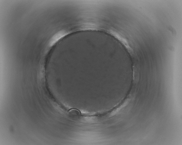 X0000115321453200911231340