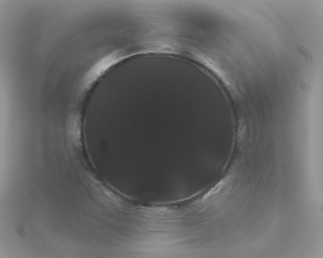 X0000115321455200911231340