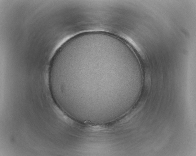 X0000115321460200911231340