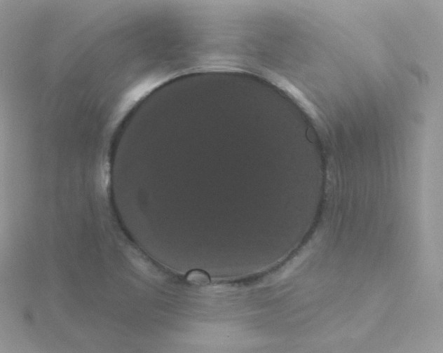 X0000115321461200911231340