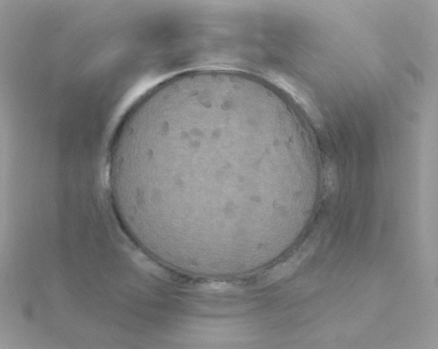 X0000115321462200911231340