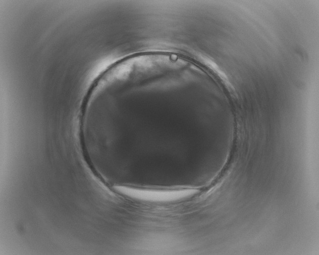 X0000115321463200911231340