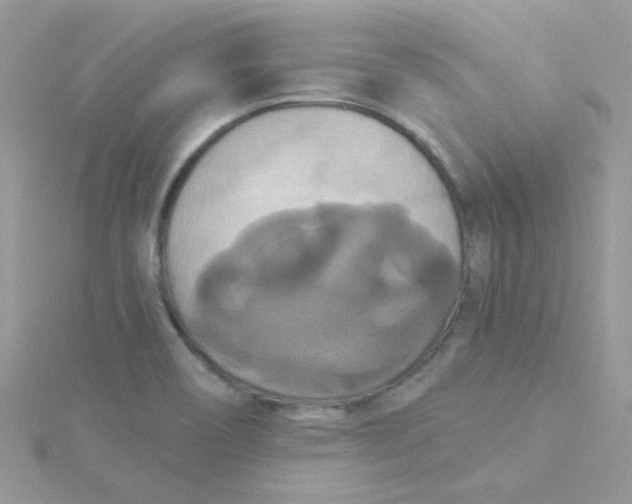 X0000115321466200911231340