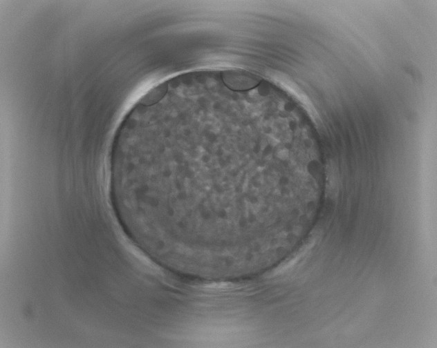 X0000115321467200911231340