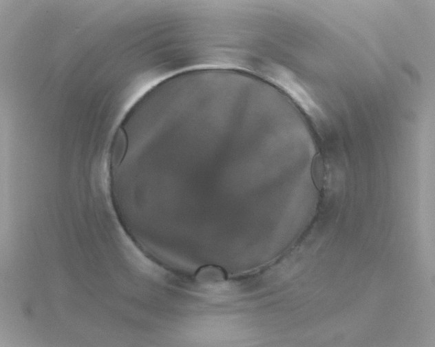 X0000115321468200911231340