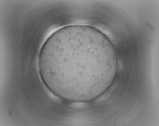 X0000115321470200911231340