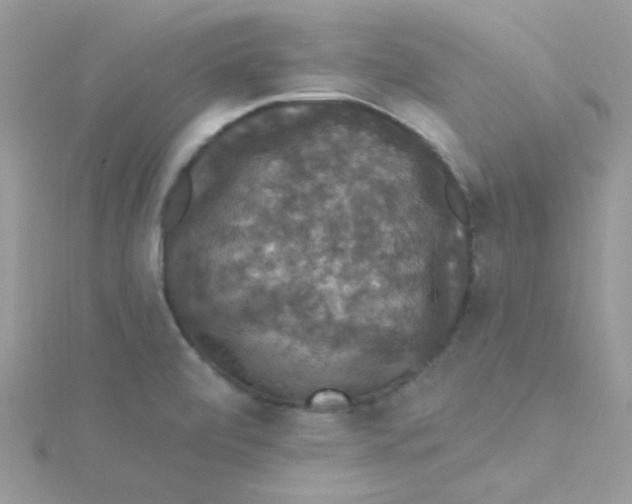 X0000115321472200911231340