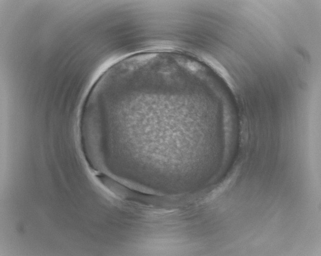 X0000115321475200911231340