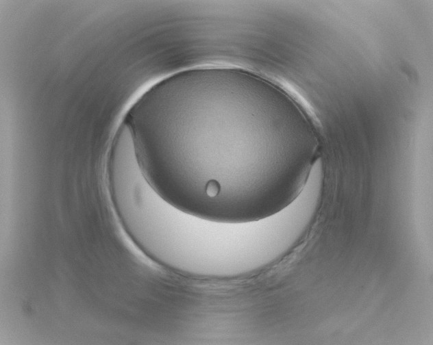 X0000115321476200911231340