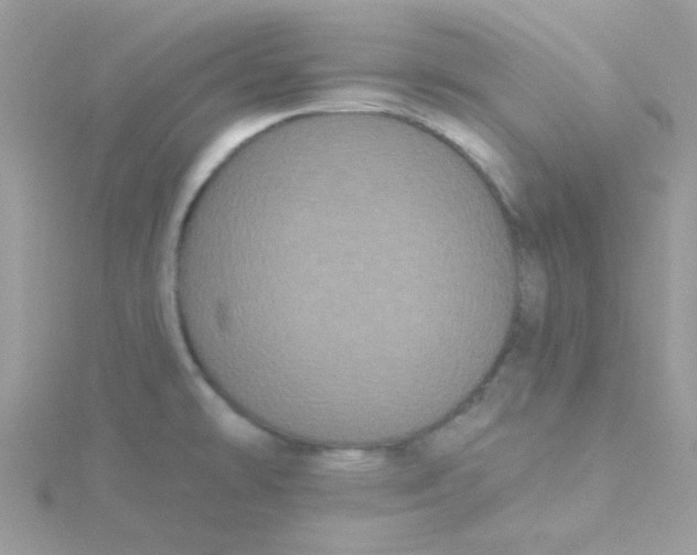 X0000115321478200911231340