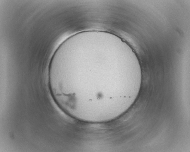 X0000115321479200911231340