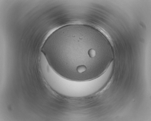 X0000115321481200911231340