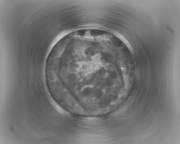 X0000115321482200911231340