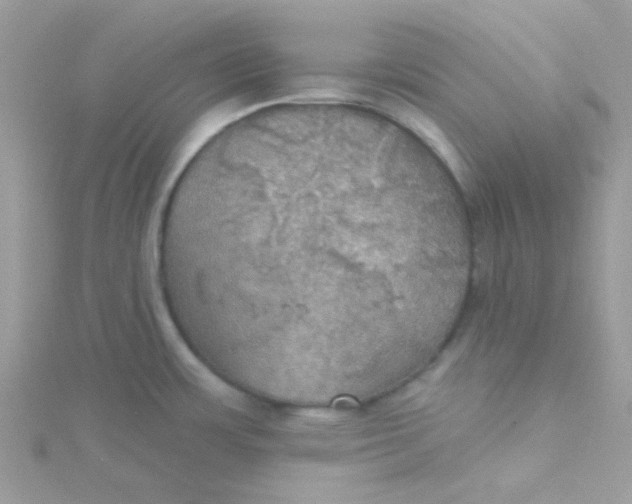 X0000115321483200911231340