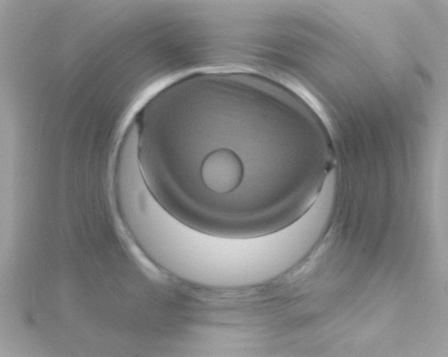 X0000115321485200911231340