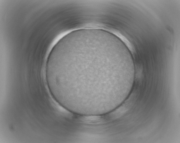 X0000115321486200911231340