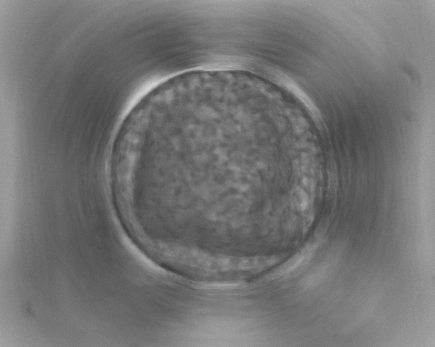 X0000115321487200911231340