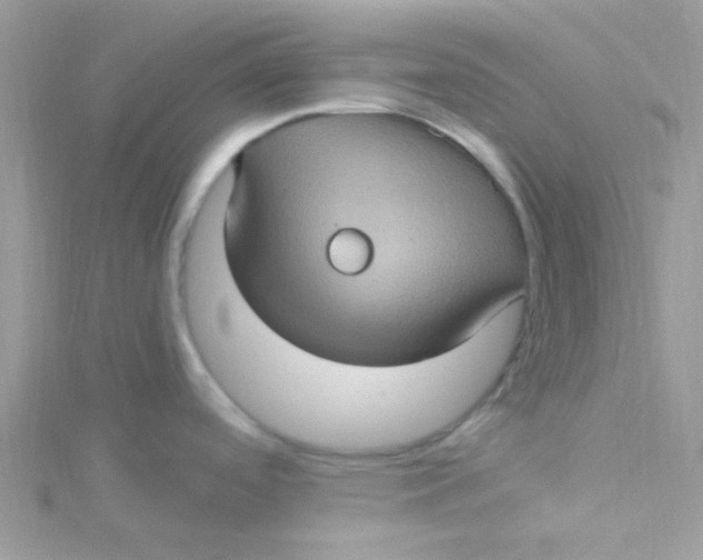 X0000115321488200911231340