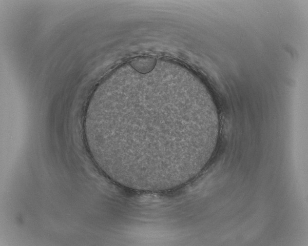 X0000115321489200911231339