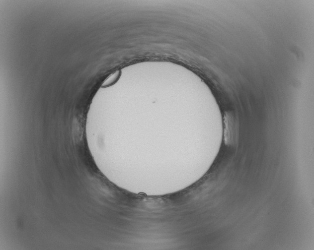 X0000115321491200911231339