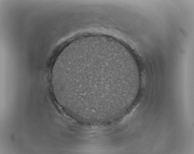 X0000115321494200911231339