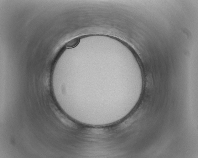 X0000115321499200911231339