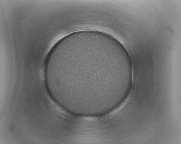 X0000115321501200911231339